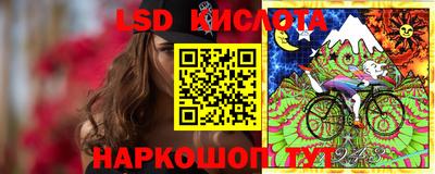 apvp Краснодар