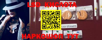 apvp Краснодар