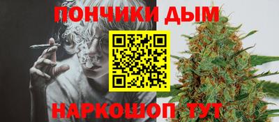 гидра Краснокаменск