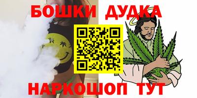 гидра Краснокаменск