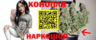 apvp Краснодар